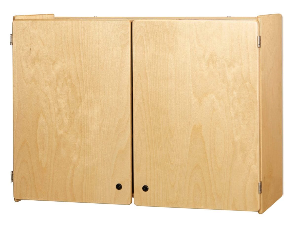 Lockable Wall Cabinet - Image 2