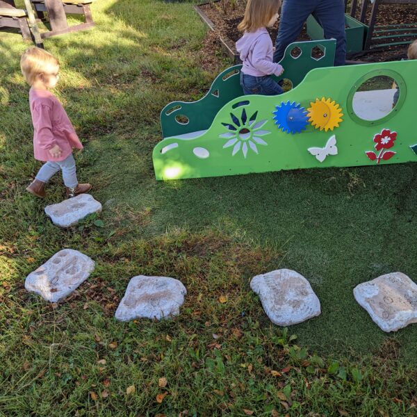 Fossil Steppers (set of 5)