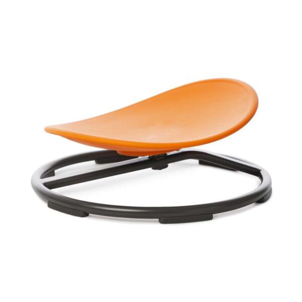 Balance Carousel Spinner